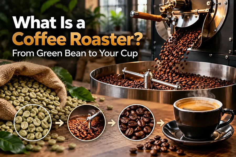 What Is a Coffee Roaster? From Green Bean to Your Cup
