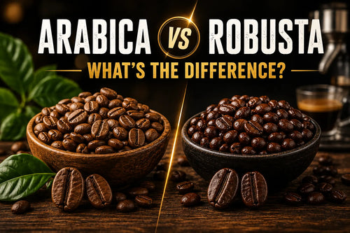 Arabica vs Robusta: What's the Difference?