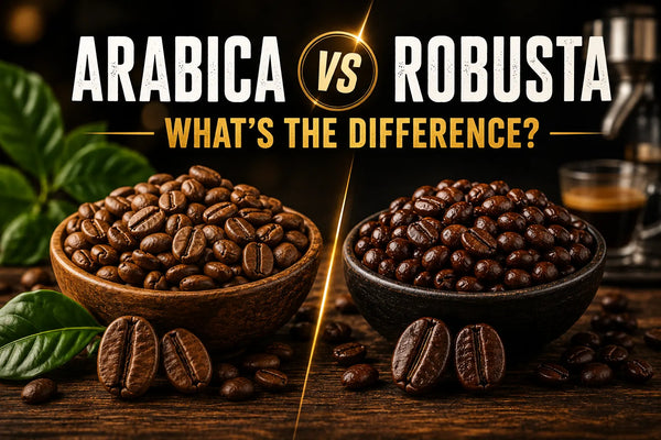 Arabica vs Robusta: What's the Difference?